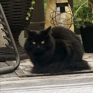 Meet your Posher, Sheri